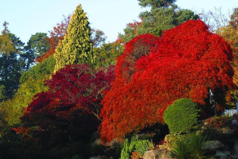 Sunningdale Park Ξενοδοχείο Άσκοτ Εξωτερικό φωτογραφία